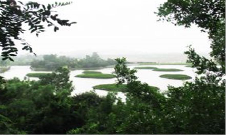 秦皇島濱海植物園和鳥類博物館設計