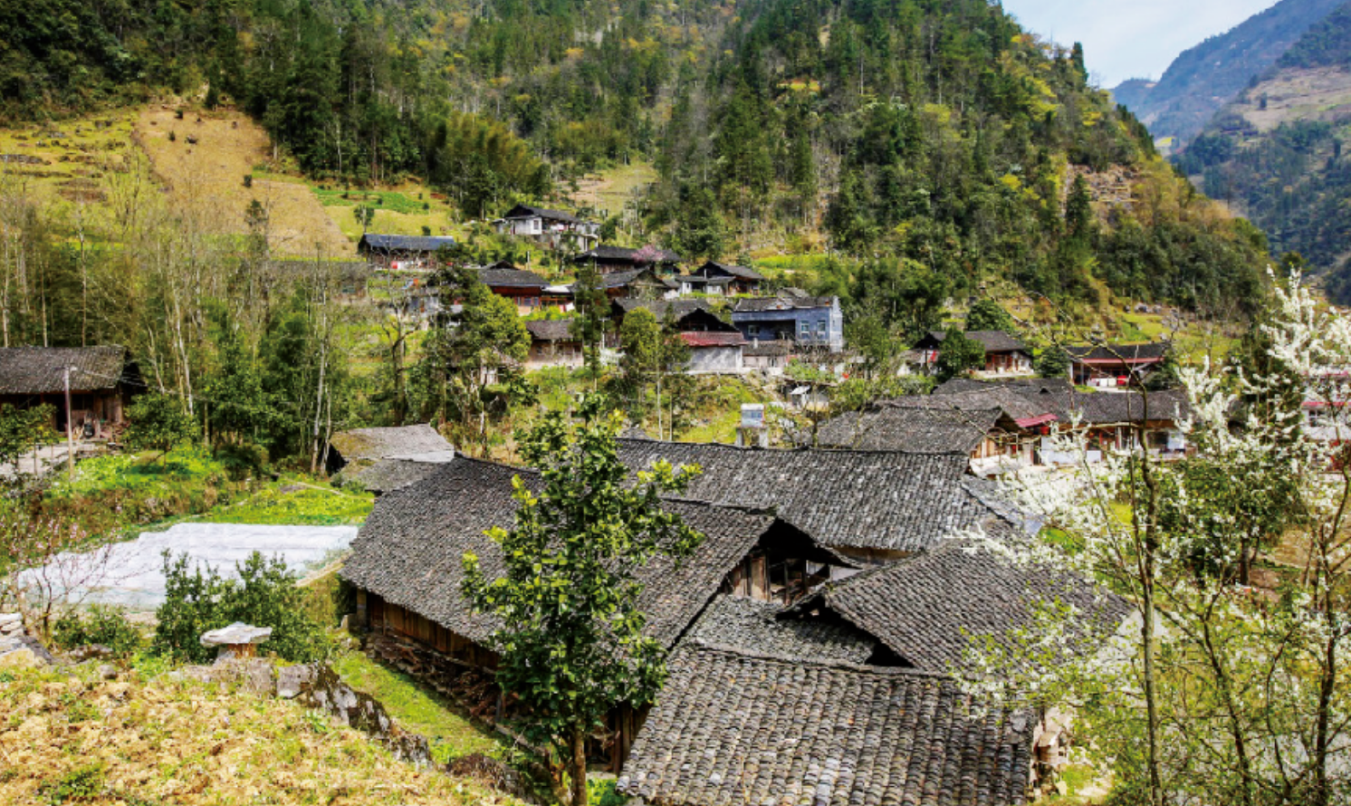 全域旅游空間潛力預(yù)測(cè)，讓AI助力鄉(xiāng)村振興