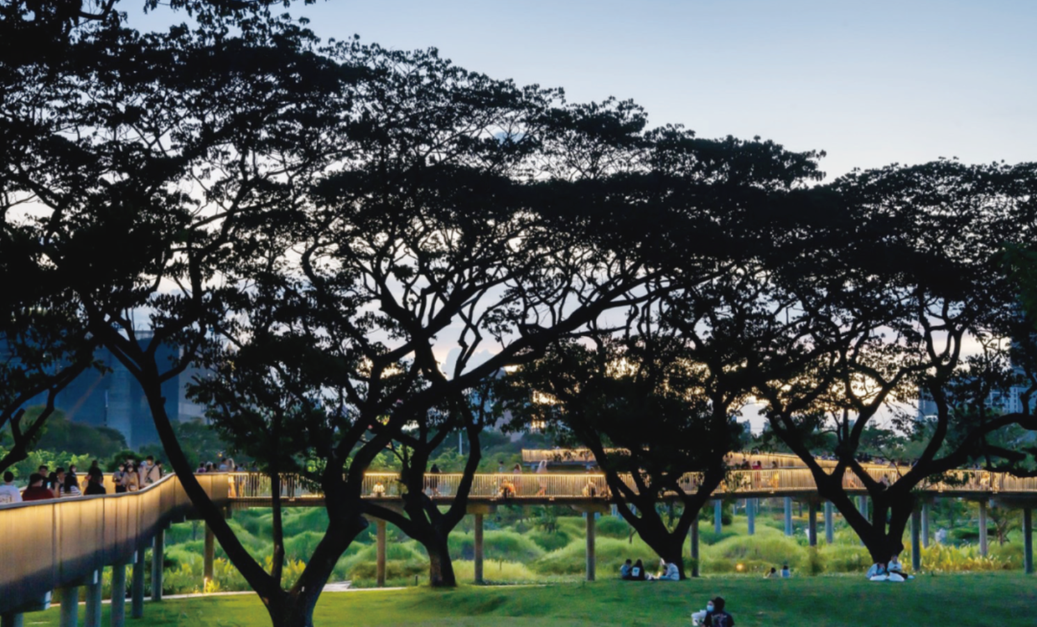 煙草工廠變身海綿濕地：泰國曼谷班加科特森林公園