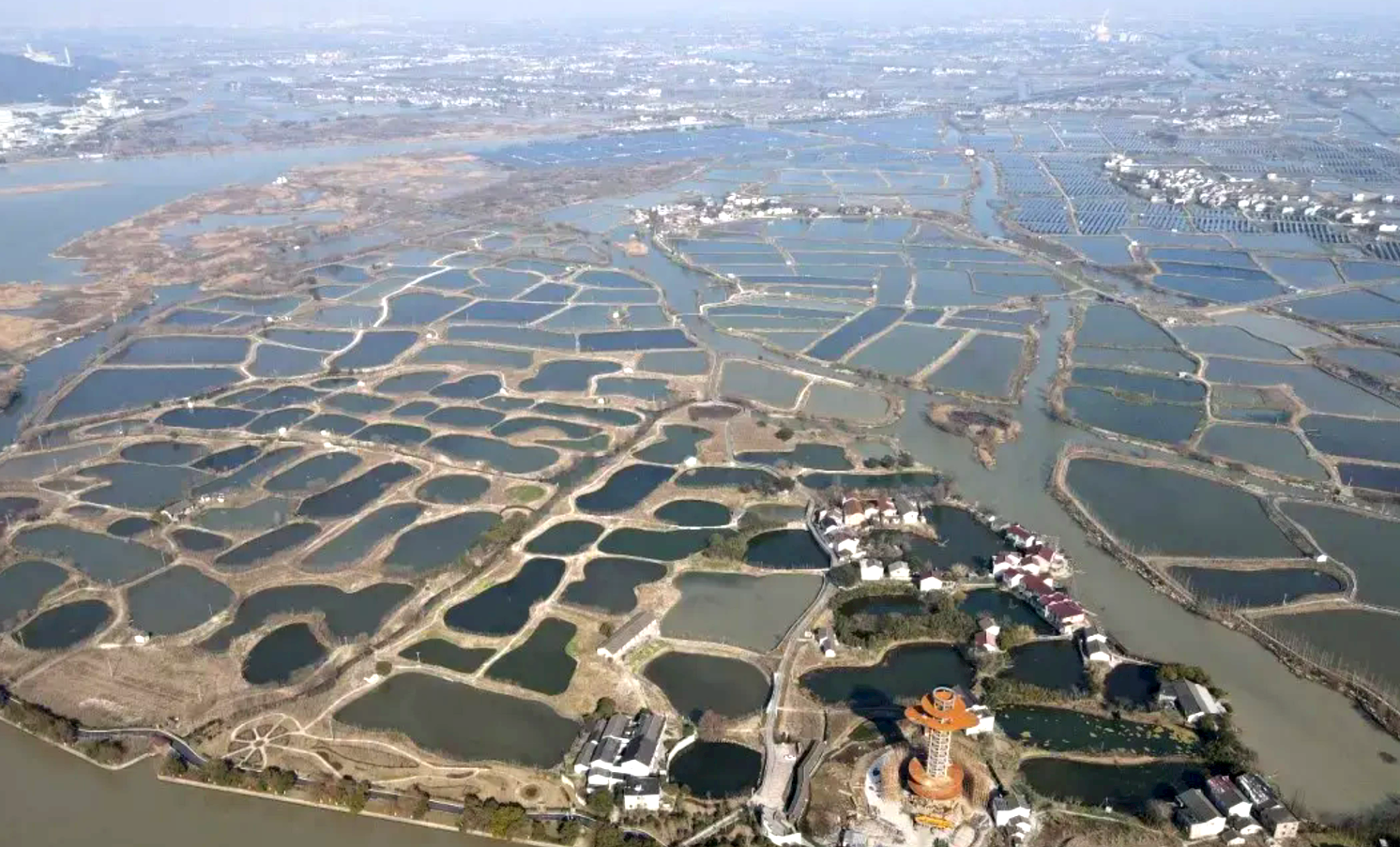 桑基魚塘的傳承困境！如何保護(hù)與展示農(nóng)業(yè)文化遺產(chǎn)？