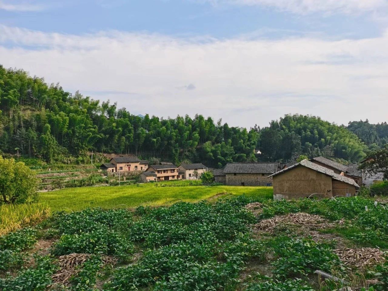 高顏值等于高價(jià)值？國(guó)家公園景觀資源貨幣化價(jià)值核算