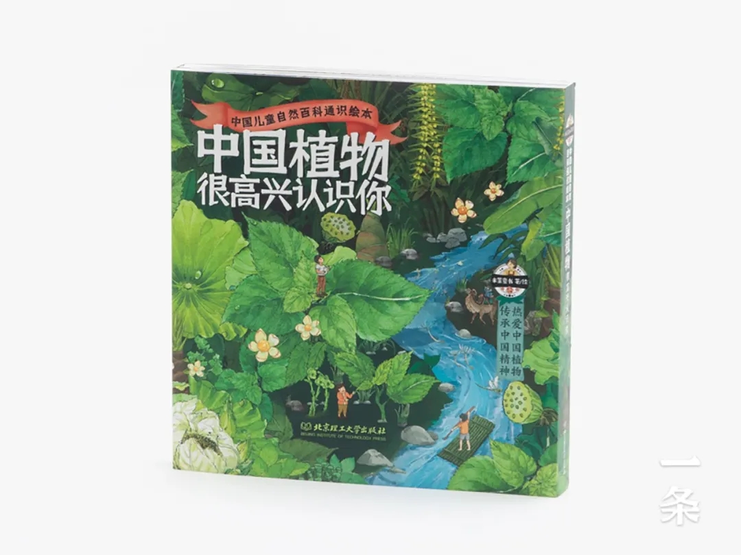 《中國(guó)植物，很高興認(rèn)識(shí)你》：給中國(guó)孩子的植物小百科，400幅全彩手繪，每一頁(yè)都是藝術(shù)