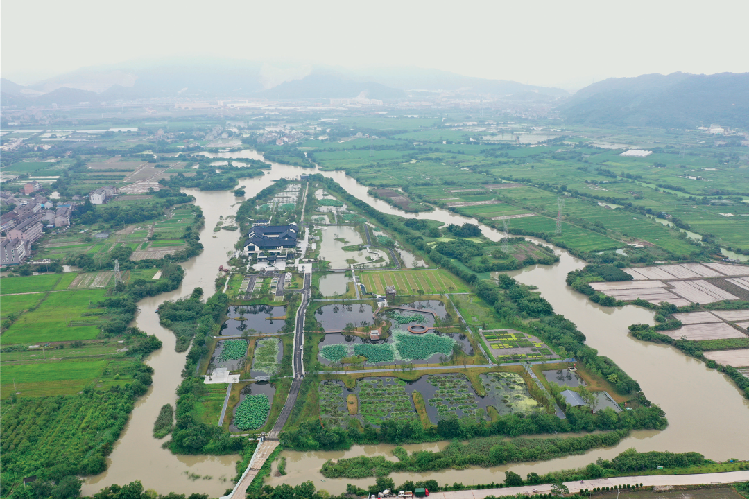 圩田濕地生境修復(fù)案例：浙江鑒洋湖濕地公園首啟區(qū) | AECOM