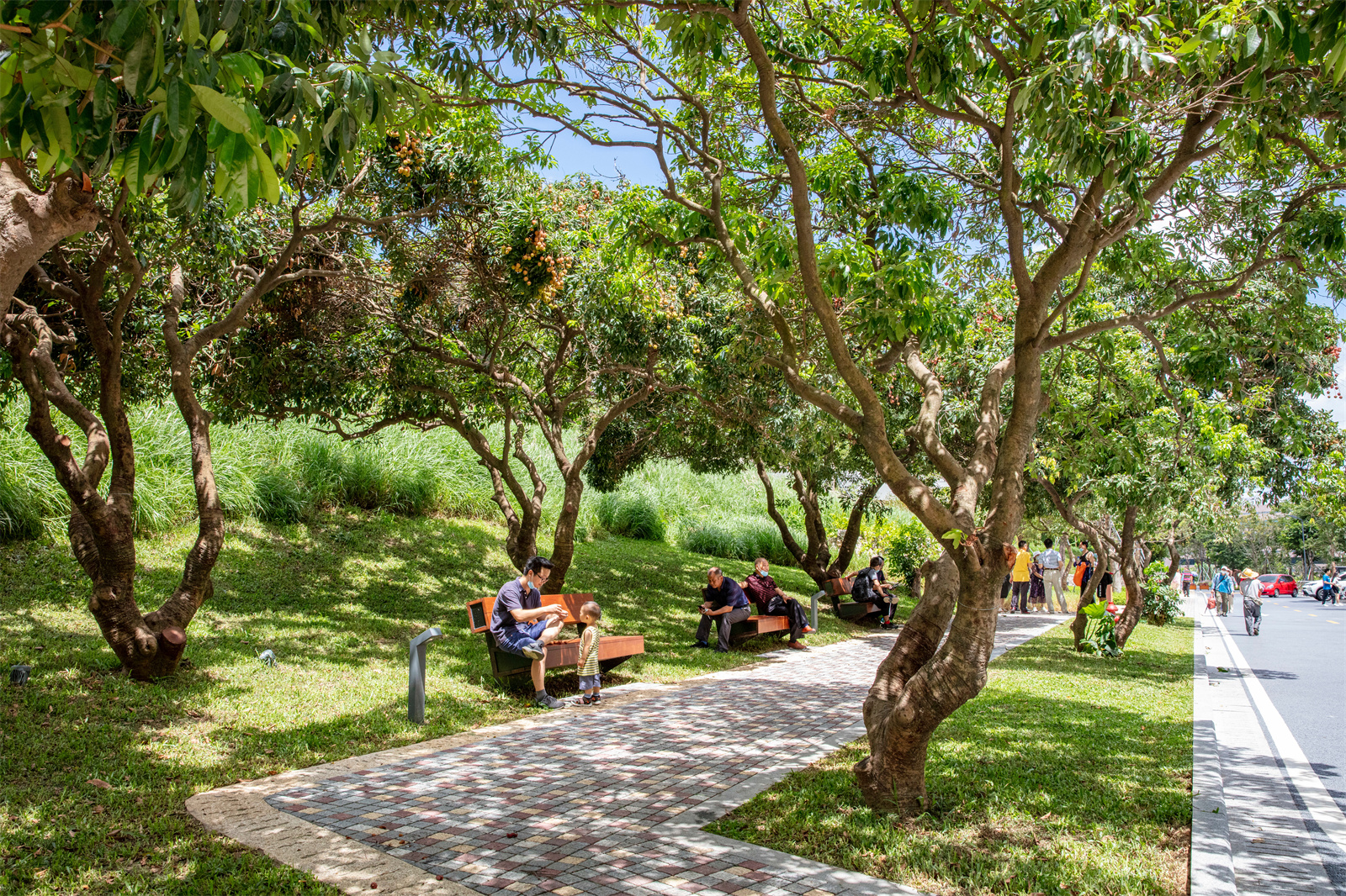 西麗生態(tài)公園工程景觀設計 | 深圳園林股份有限公司