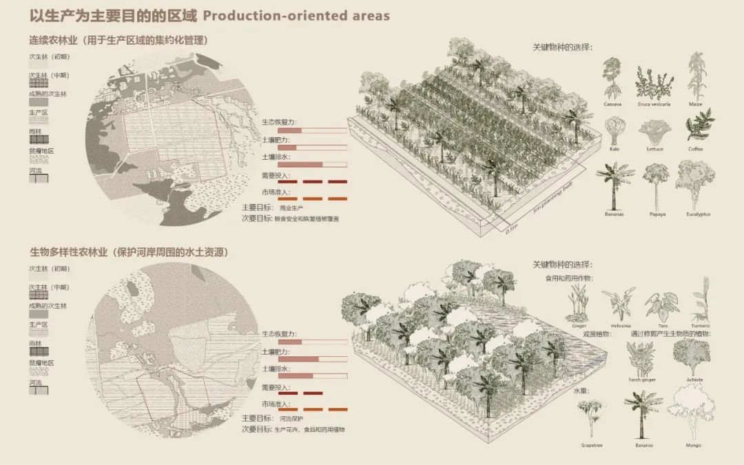 從沖突到融合：基于農(nóng)牧林復合土地利用的巴西雨林景觀修復 | 吳麗紅、邵家軒、楊博涵、孫膺淇、朱紫薇