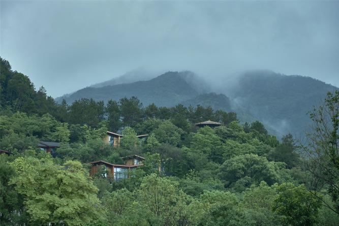 浙江建德富春開元芳草地鄉(xiāng)村酒店建筑與景觀設計 | 中國美術學院風景建筑設計研究總院