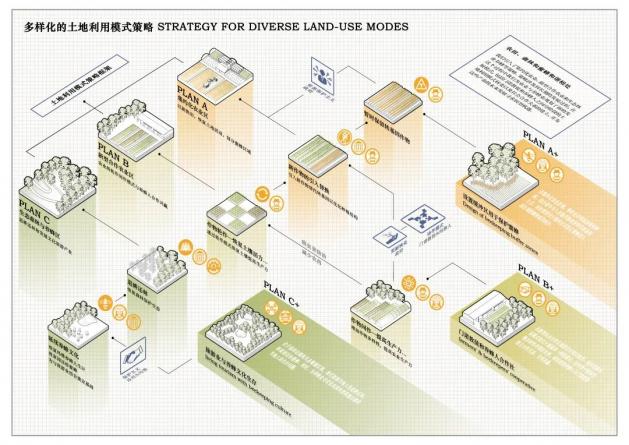 從沖突到和諧：坎佩切州農(nóng)業(yè)、蜜蜂與森林共生系統(tǒng)的構建策略 | 蔣帥、廖天威、胡瀚宇、于騰飛