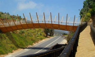 Zapallar(Pedestrian Bridge in Zapallar)