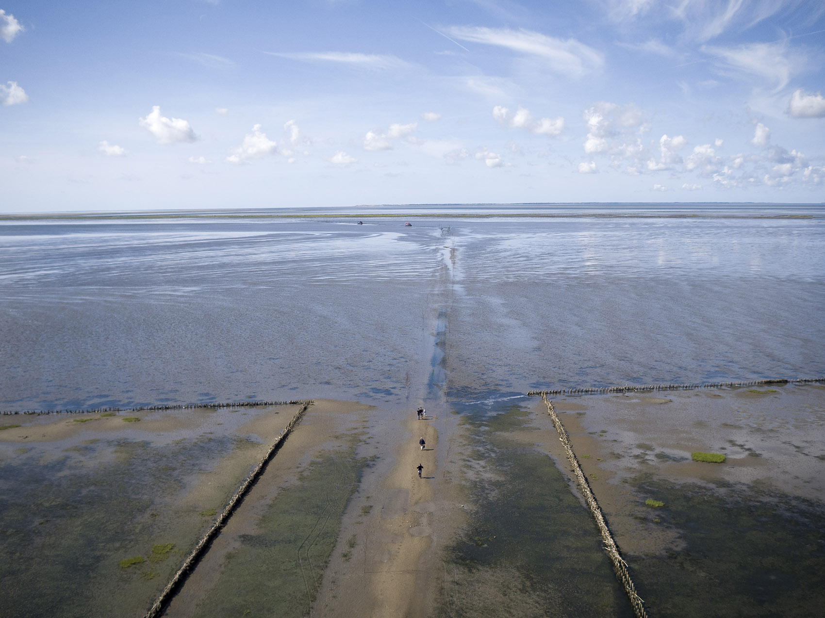 4-Wadden-Sea-Center－Marianne-Levinsen-Landskab-ApS.jpg