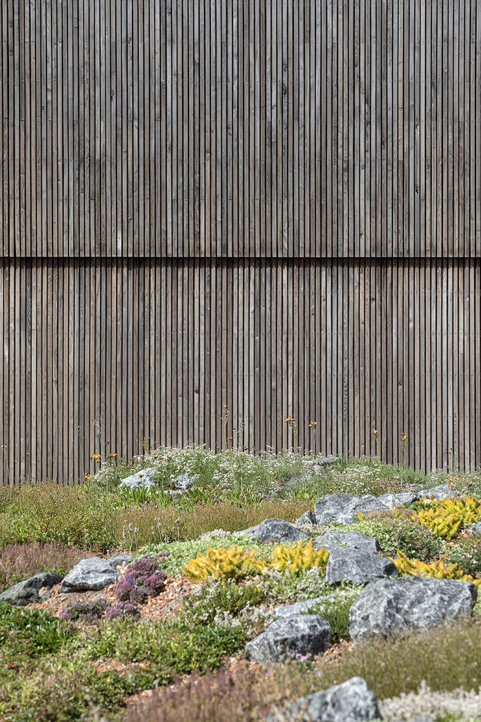 5-Wadden-Sea-Center－Marianne-Levinsen-Landskab-ApS.jpg