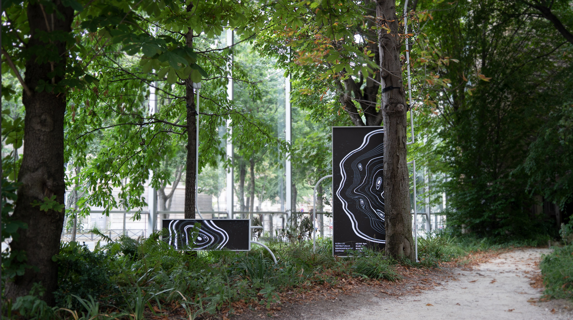 thijs-biersteker-stefano-mancuso-symbiosia-trees-fondation-cartier-paris-france_dezeen_2364_col_10.jpg