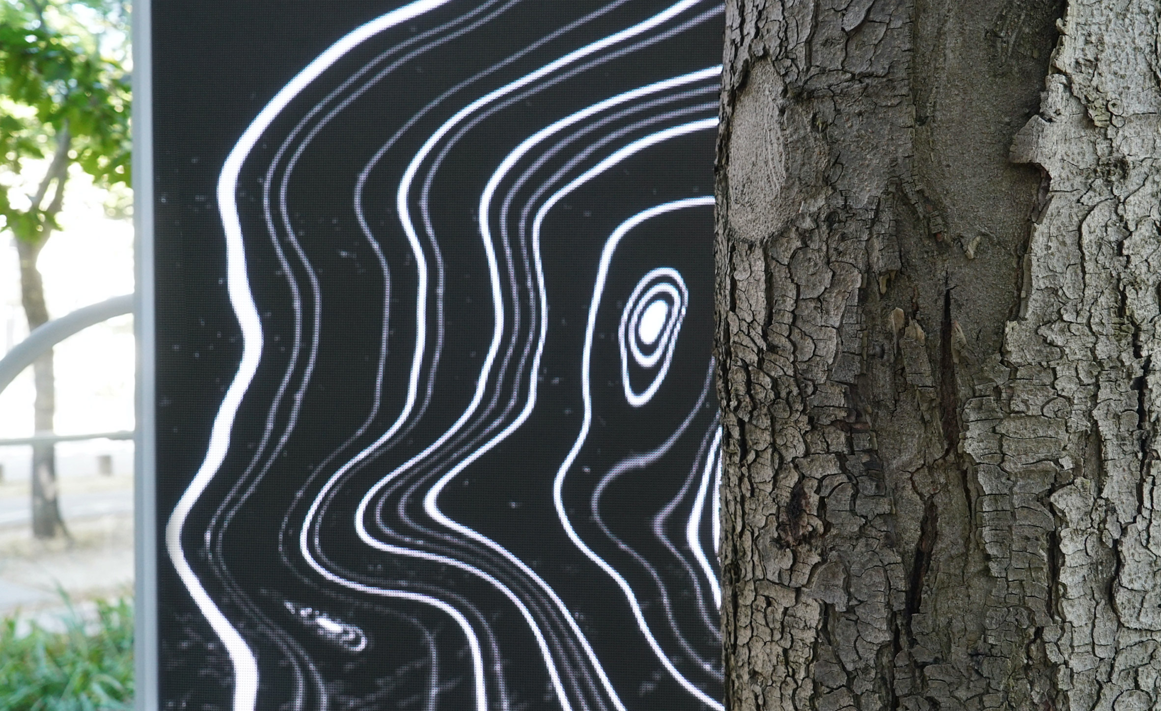 thijs-biersteker-stefano-mancuso-symbiosia-trees-fondation-cartier-paris-france_dezeen_2364_col_2.jpg