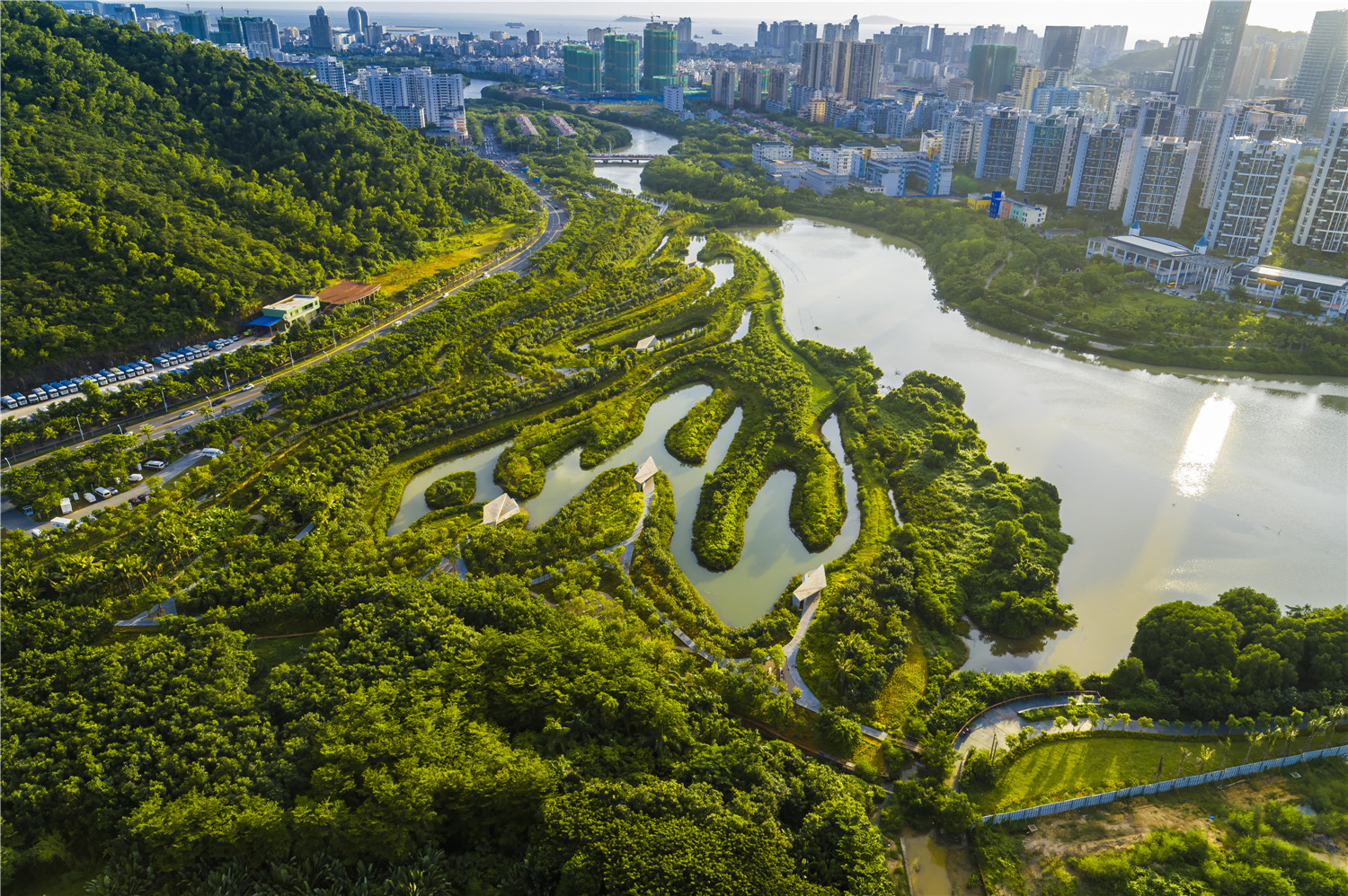 05 The established mangrove park .jpg