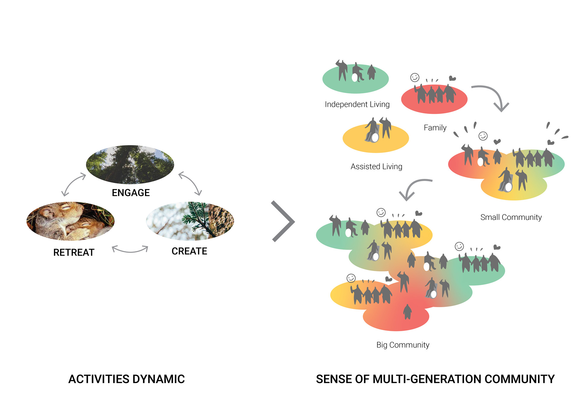 D02_Creating Activity Dynamics for Multi-generation.jpg