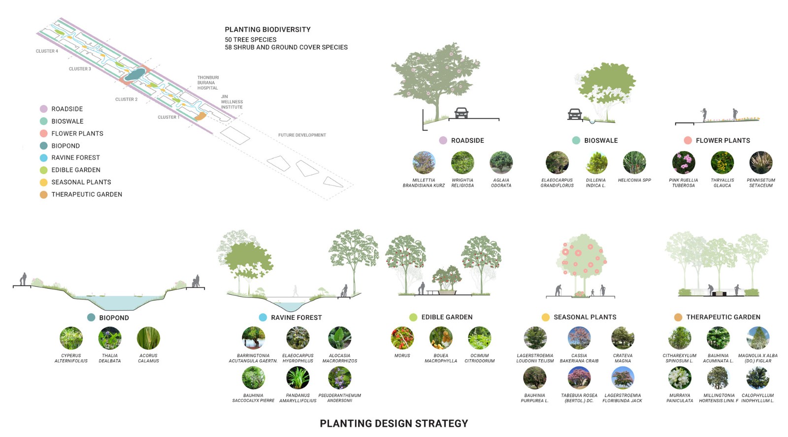 D09_Planting Design.jpg