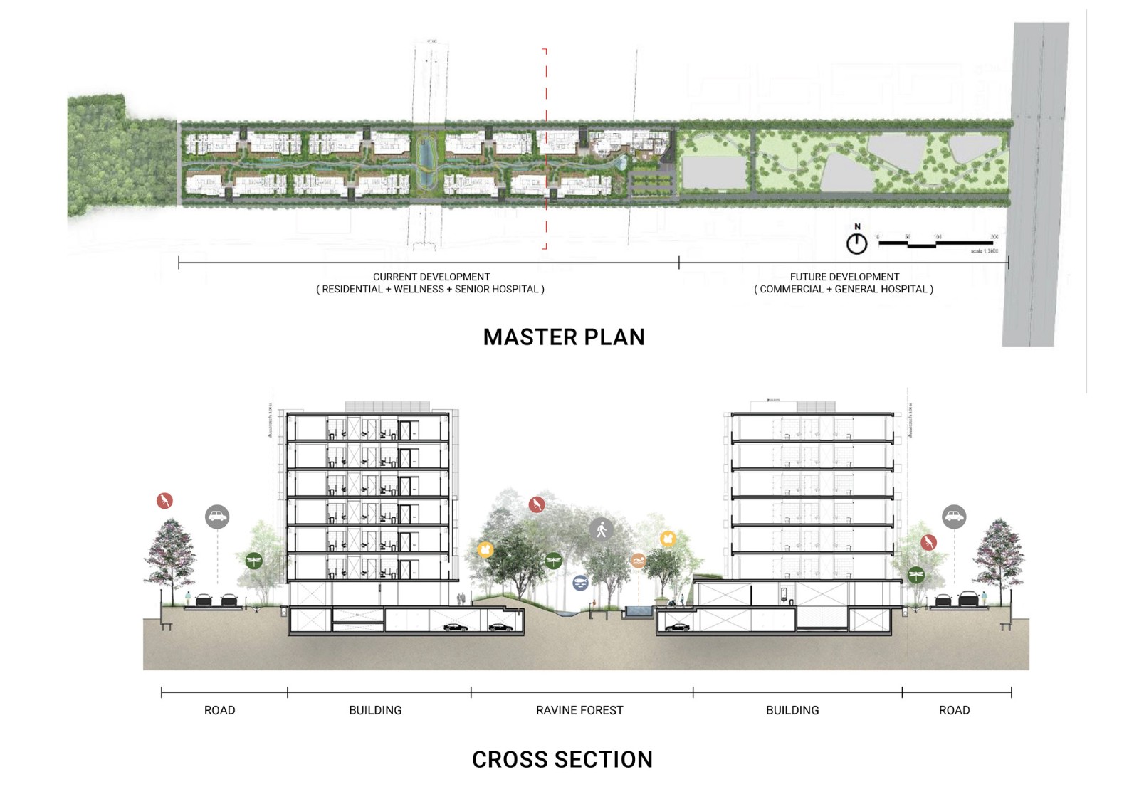 D10_Masterplan and Section.jpg