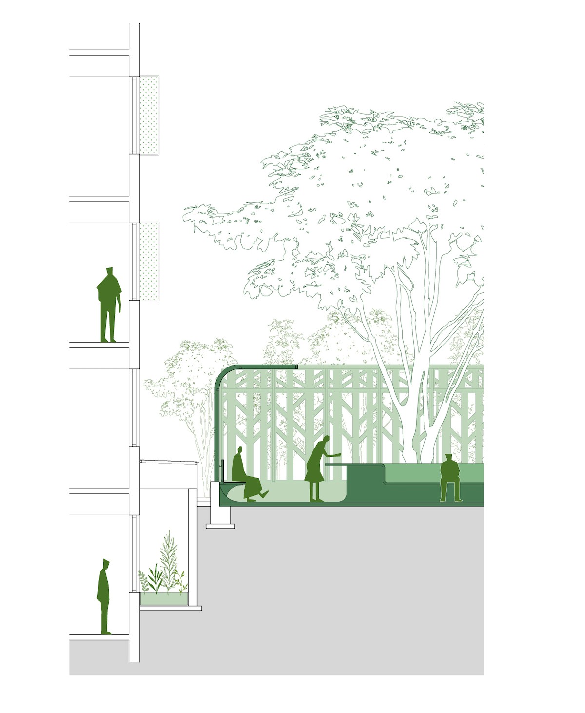 MAT_tree courtyard_drawing_section analysis.jpg