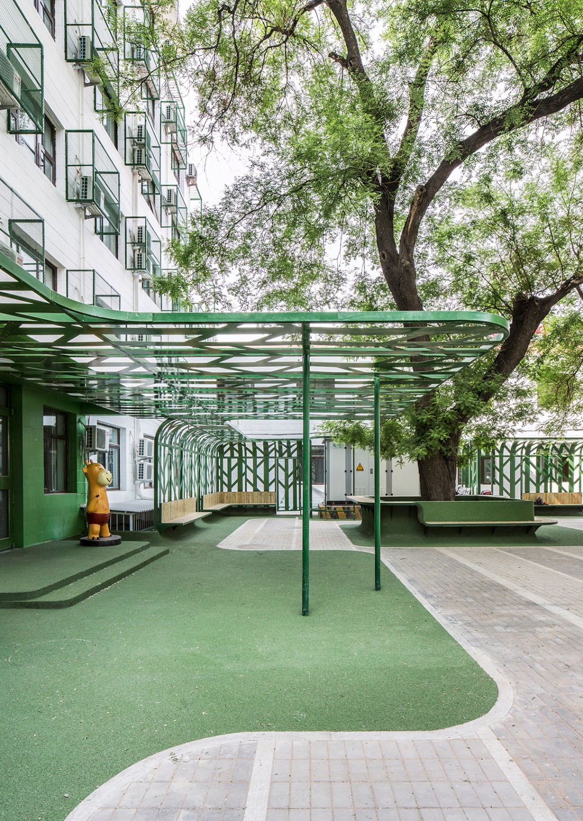 MAT_tree courtyard_photo_canopy and tree.jpg