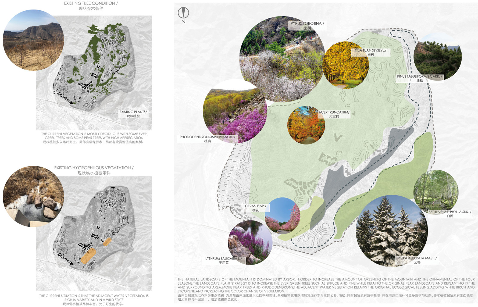 景觀四季植被設計landscape planting design1.jpg