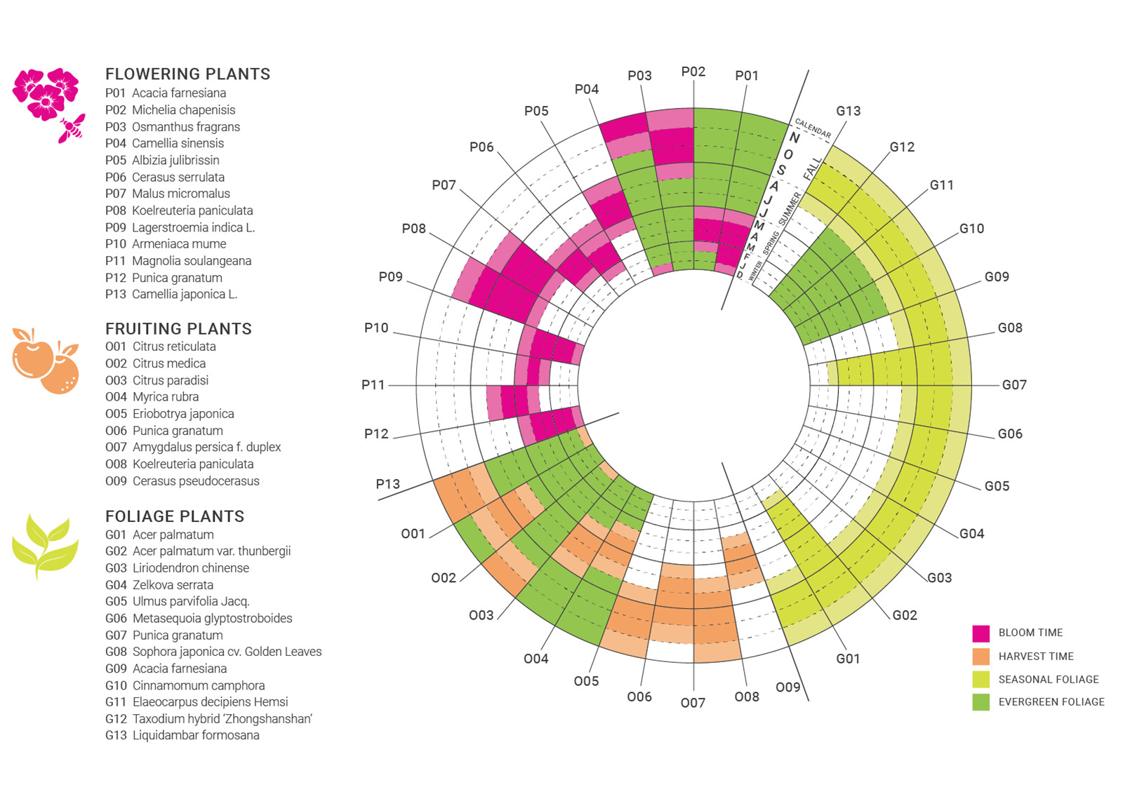 VKPB_DIA_Planting Diagram_update-01.jpg