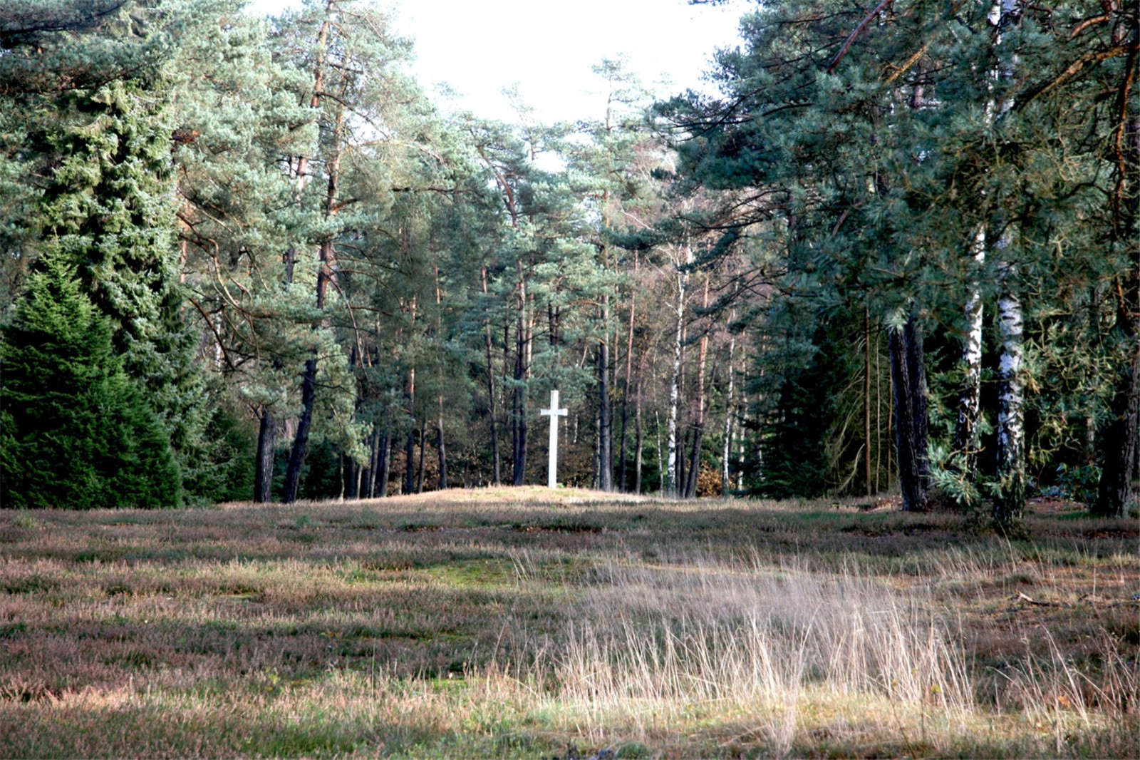 4. Karres en Brands - Loenen Memorial Extension.jpg