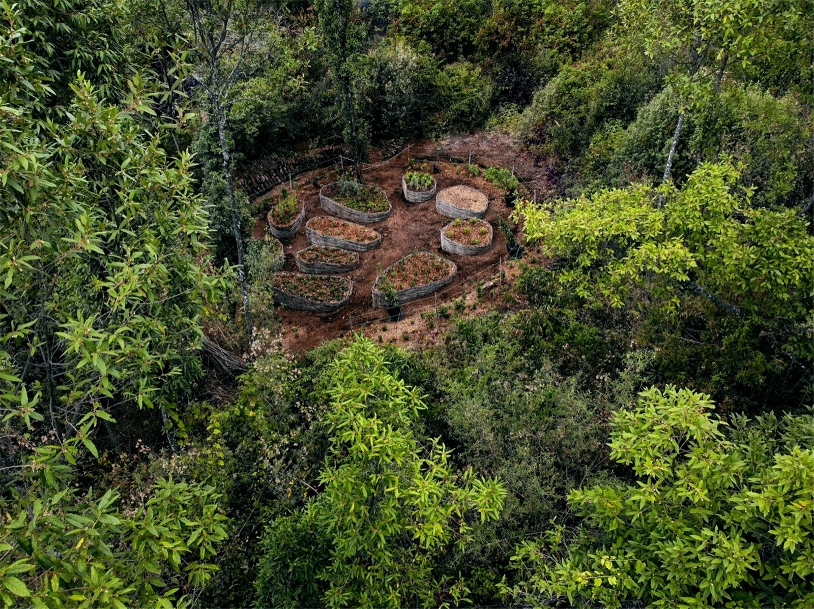 Estudio-Ome-Forest-garden-Nests house_119.jpg