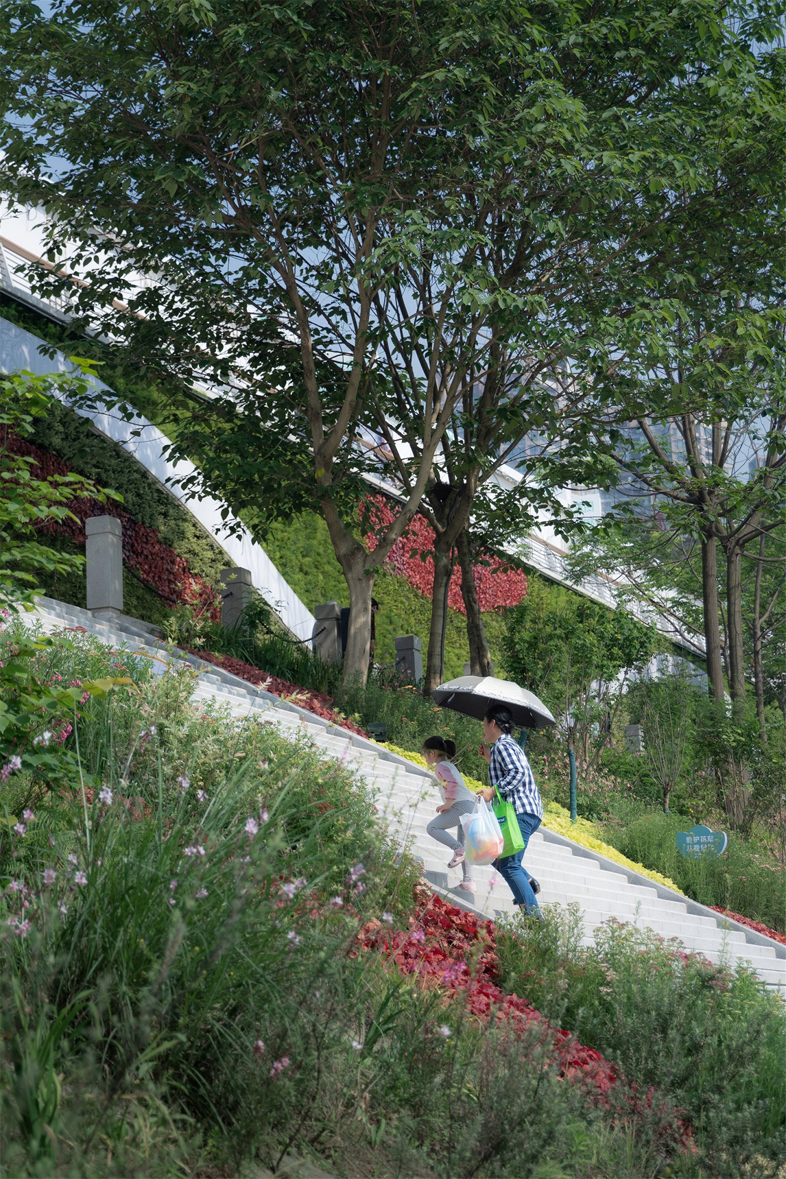 本地耐水植物園提升濱江景觀生態(tài)01.jpg