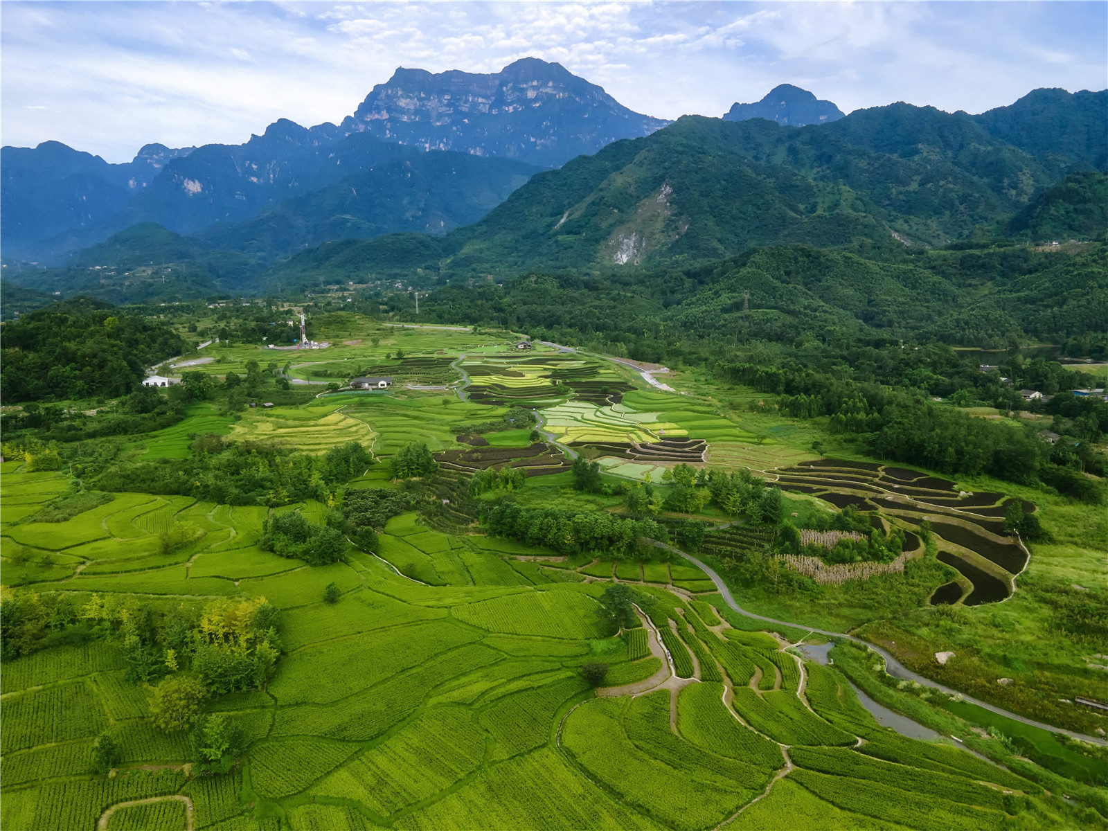 07-從山腳出發(fā)的稻田肌理 ?樂(lè)道景觀.jpg