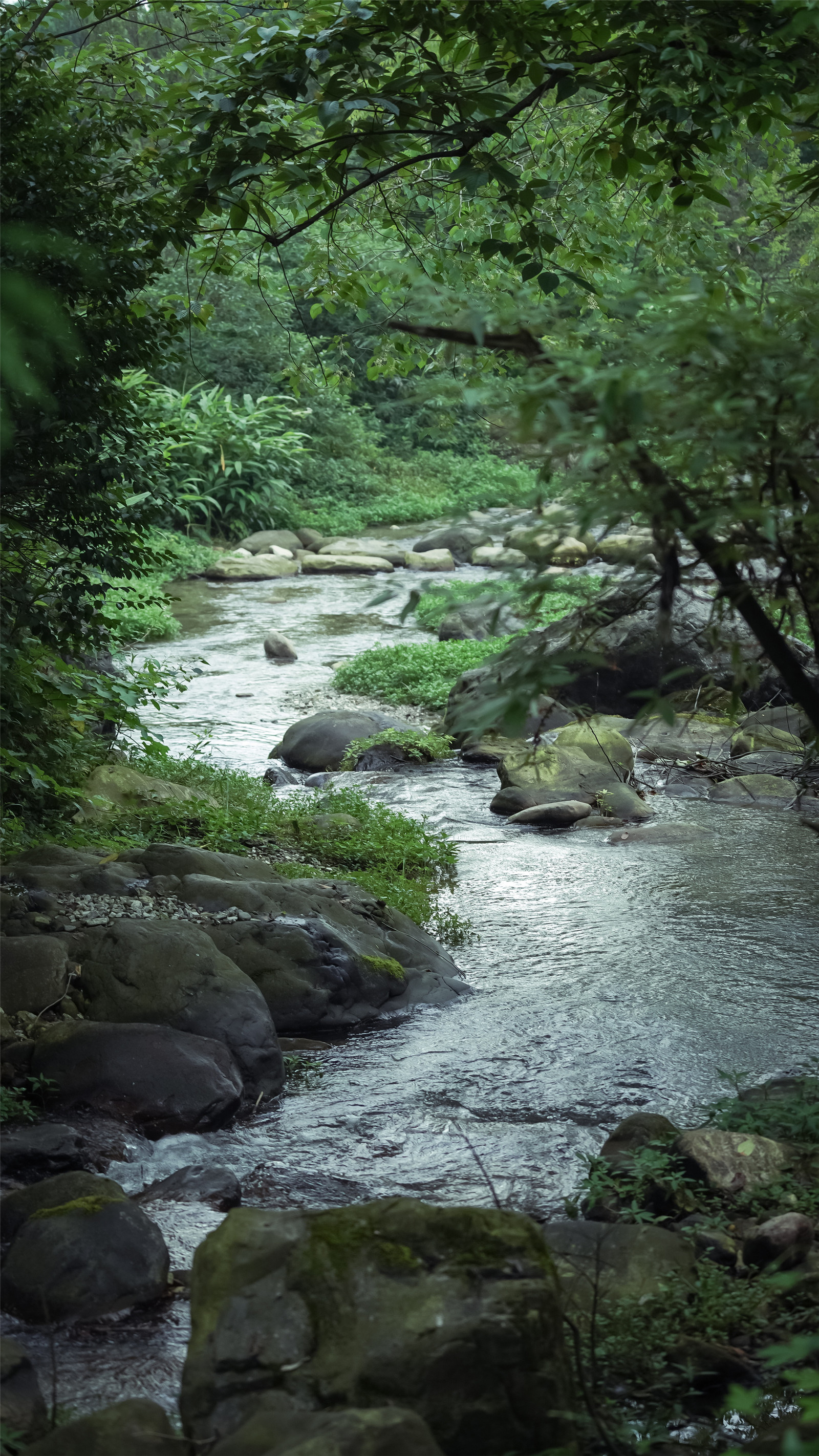 26-最大程度的保留了現(xiàn)狀巖石和野境林木?樂(lè)道景觀.jpg