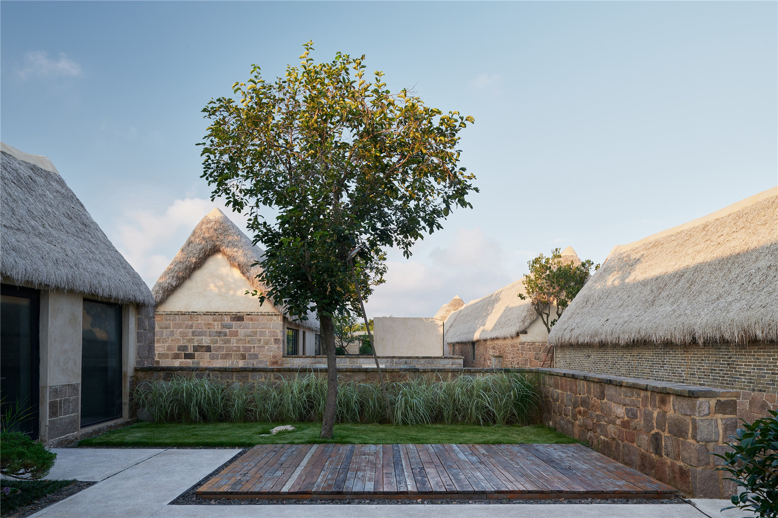 Trees preserved in the courtyard.jpg