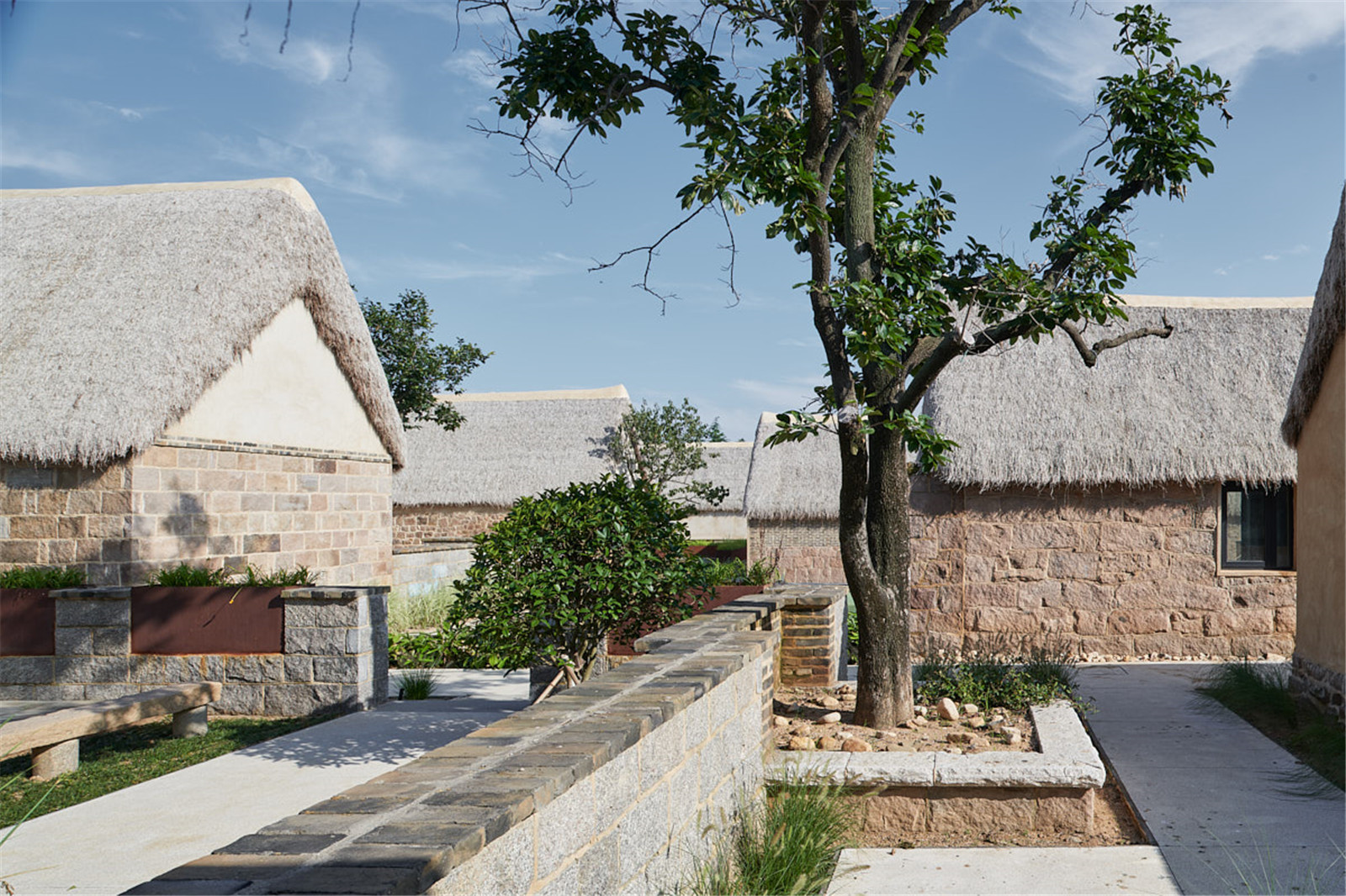 Trees preserved in the courtyard (2).jpg