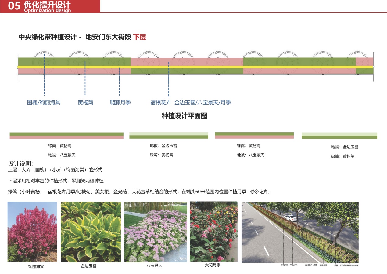 中央綠化帶下層種植設計圖.jpg