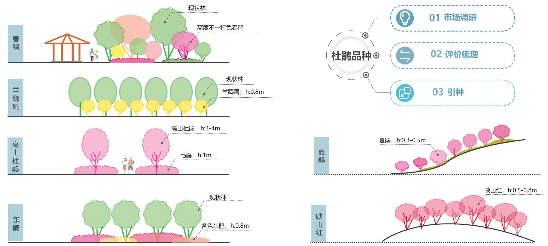 圖6合理搭配種植各種杜鵑(1).jpg