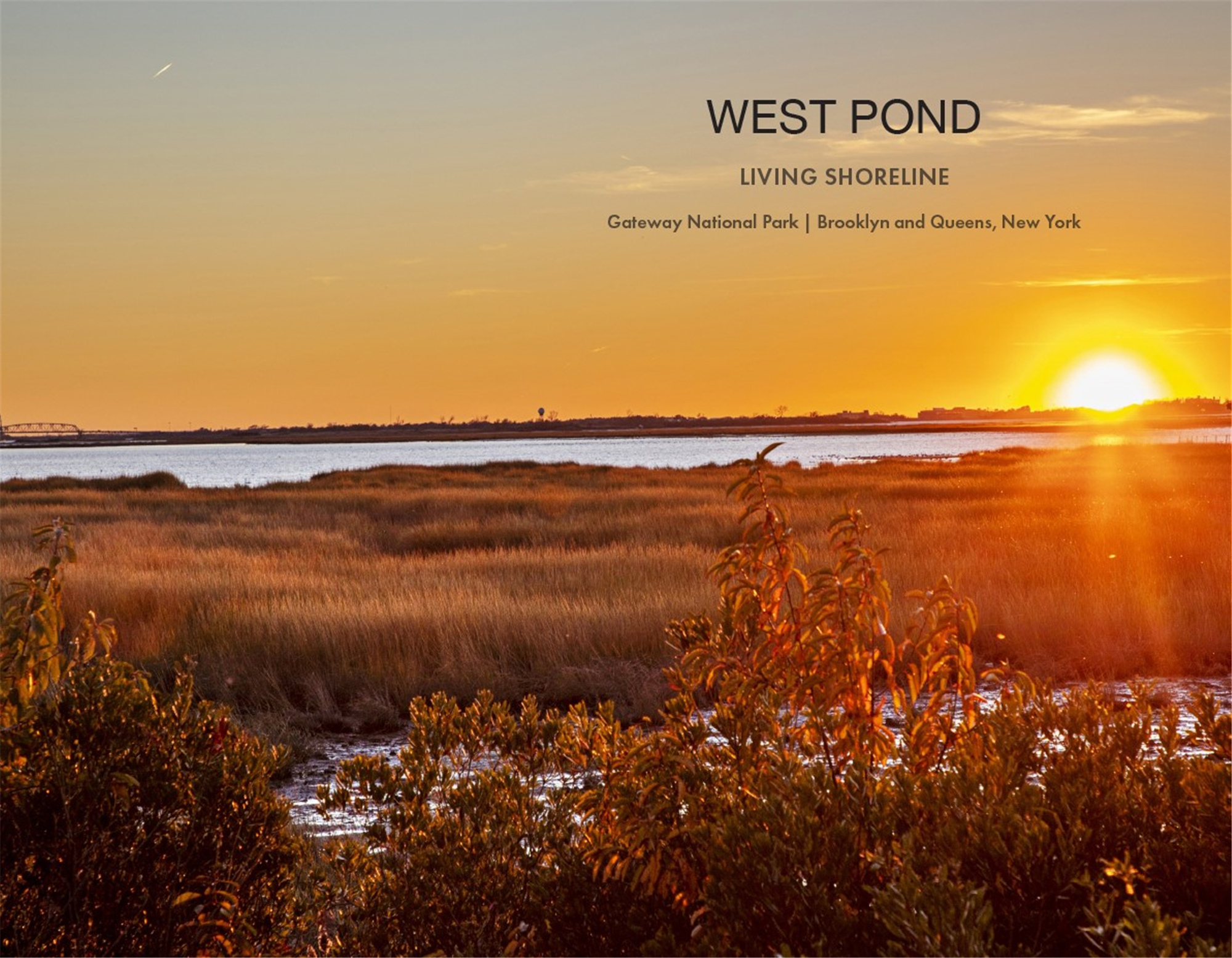 2022 West Pond Images-1.jpg