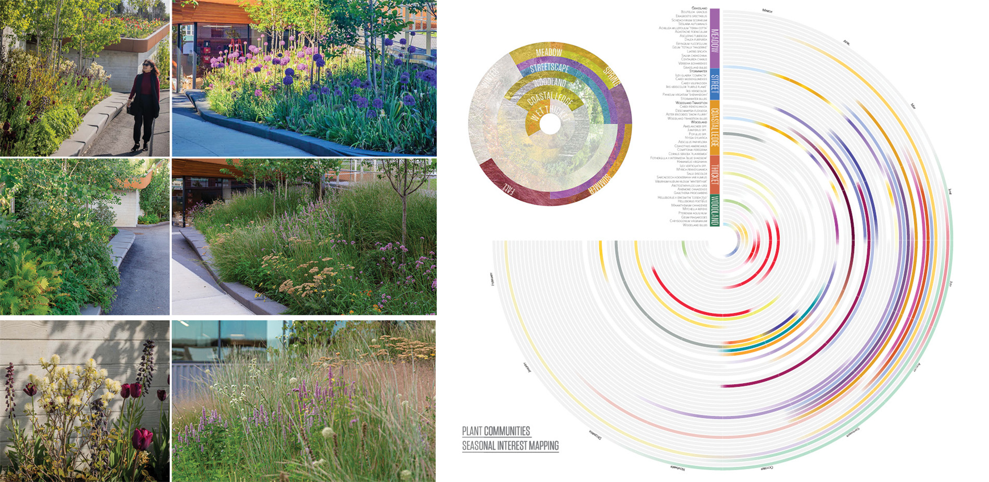 Offshoots-ASLA Submission-Hood9.jpg